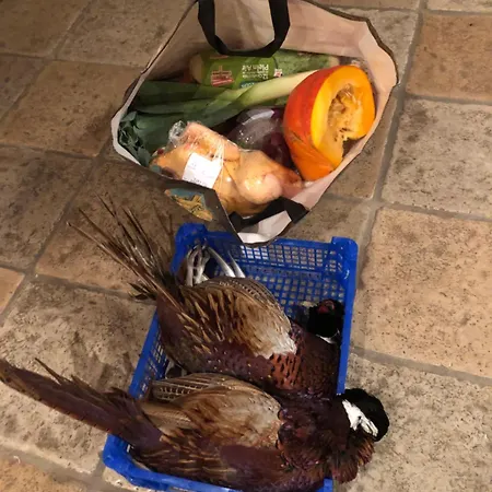 Le Chabrol - A Stunning Dordogne Riverside With Heated Salt Pool ,10 Minutes Walk To Tremolat