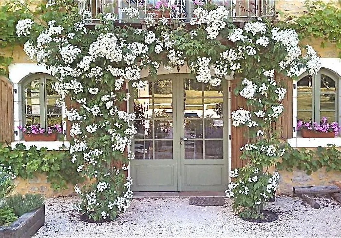 Villa Le Chabrol - A Stunning Dordogne Riverside With Heated Salt Pool ,10 Minutes Walk To Tremolat *