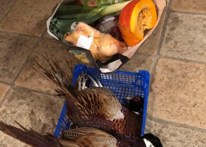 Le Chabrol - A Stunning Dordogne Riverside With Heated Salt Pool ,10 Minutes Walk To Tremolat