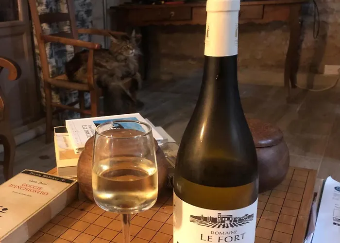 Villa Le Chabrol - A Stunning Dordogne Riverside With Heated Salt Pool ,10 Minutes Walk To Tremolat Cales (Aquitaine)